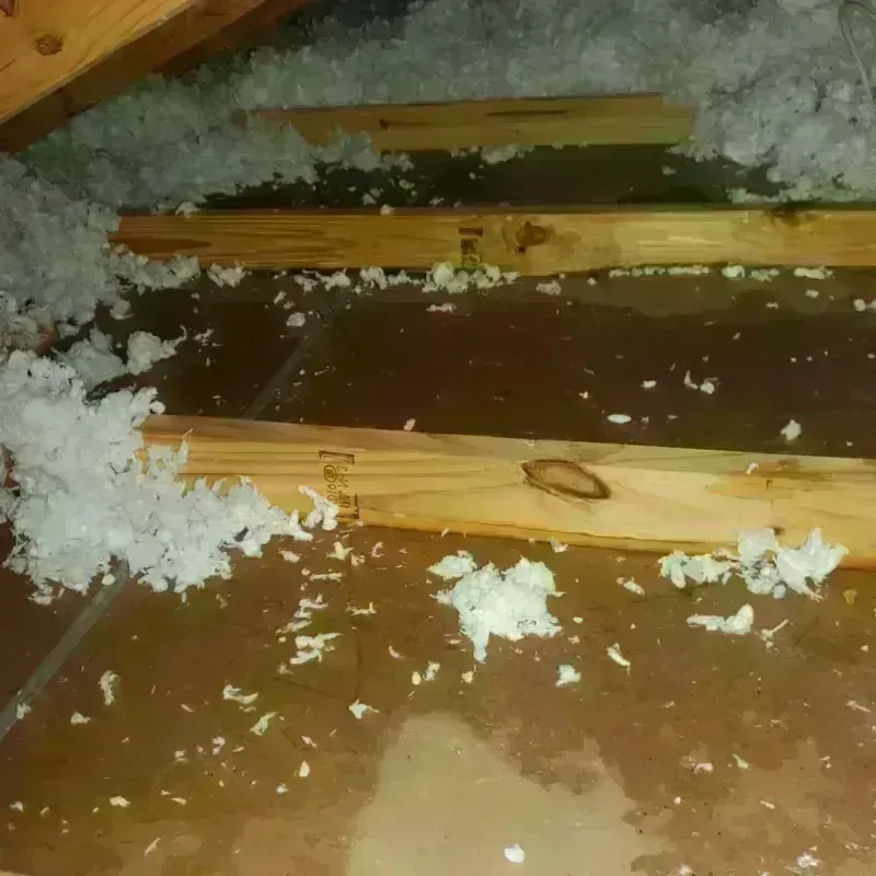 Attic Water Damage in Cornell, WI