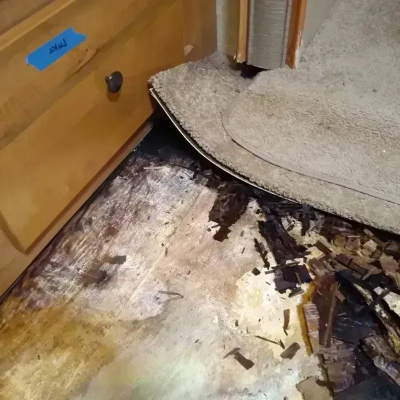 Wood Floor Water Damage in Cornell, WI